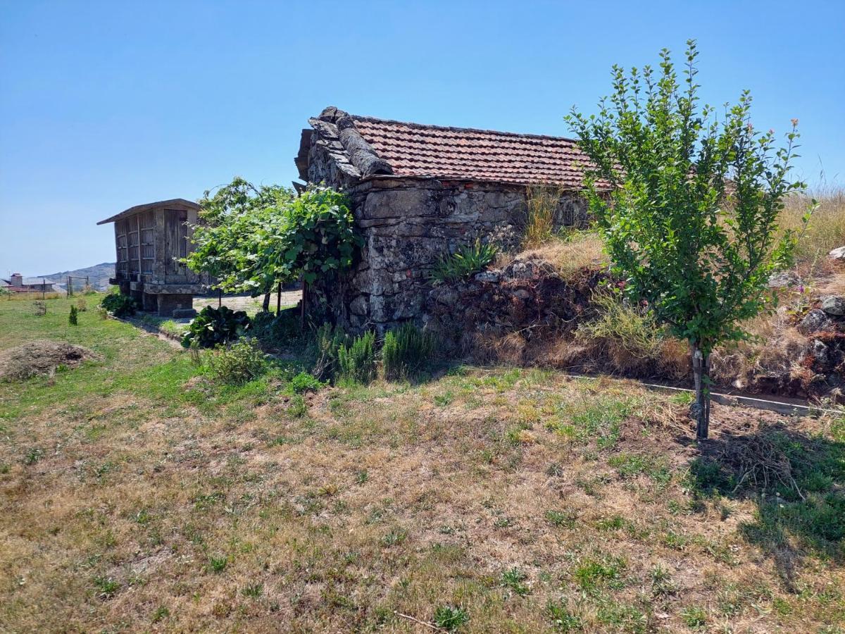 Casa Do Sobrado Arouca Villa Dış mekan fotoğraf
